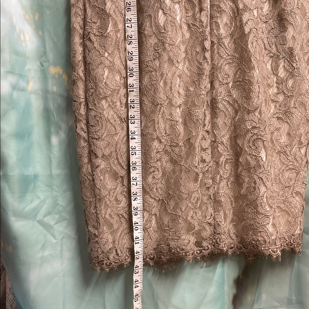 Tadashi Shoji Lace 3/4 Sleeve Dress in Cream and Tan with Belt - Picture 9 of 9